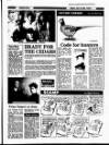 Enniscorthy Guardian Friday 25 July 1986 Page 27