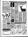 Enniscorthy Guardian Friday 17 October 1986 Page 27