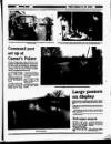 Enniscorthy Guardian Friday 16 January 1987 Page 9