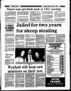 Enniscorthy Guardian Friday 20 March 1987 Page 5