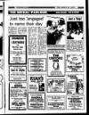 Enniscorthy Guardian Friday 20 March 1987 Page 19