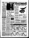 Enniscorthy Guardian Friday 20 March 1987 Page 31