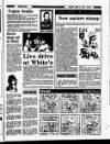 Enniscorthy Guardian Friday 17 April 1987 Page 31