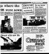 Enniscorthy Guardian Friday 24 April 1987 Page 35