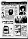Enniscorthy Guardian Friday 03 July 1987 Page 33