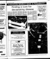 Enniscorthy Guardian Thursday 09 June 1988 Page 21