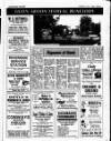 Enniscorthy Guardian Thursday 07 July 1988 Page 21