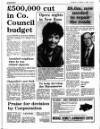 Enniscorthy Guardian Thursday 13 October 1988 Page 9