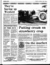 Enniscorthy Guardian Thursday 20 October 1988 Page 29