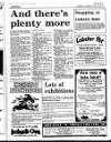 Enniscorthy Guardian Thursday 27 October 1988 Page 17