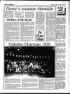 Enniscorthy Guardian Thursday 13 April 1989 Page 36
