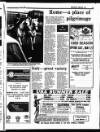 Enniscorthy Guardian Thursday 13 April 1989 Page 69
