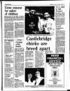 Enniscorthy Guardian Thursday 18 May 1989 Page 11