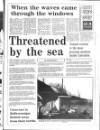 Enniscorthy Guardian Thursday 11 January 1990 Page 29