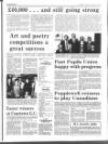 Enniscorthy Guardian Thursday 19 April 1990 Page 7