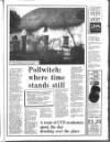 Enniscorthy Guardian Thursday 03 May 1990 Page 33