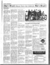 Enniscorthy Guardian Thursday 26 July 1990 Page 19