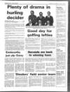 Enniscorthy Guardian Thursday 25 October 1990 Page 17