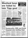 Enniscorthy Guardian Thursday 13 December 1990 Page 61