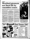 Enniscorthy Guardian Thursday 11 June 1992 Page 17