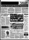 Enniscorthy Guardian Thursday 30 July 1992 Page 57
