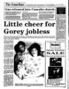 Enniscorthy Guardian Thursday 07 January 1993 Page 32