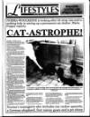 Enniscorthy Guardian Thursday 18 February 1993 Page 37
