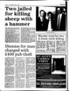 Enniscorthy Guardian Thursday 01 April 1993 Page 14