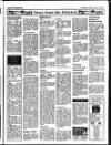 Enniscorthy Guardian Thursday 22 April 1993 Page 23