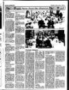 Enniscorthy Guardian Thursday 10 June 1993 Page 25