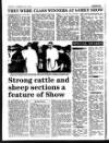 Enniscorthy Guardian Thursday 01 July 1993 Page 46