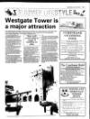 Enniscorthy Guardian Thursday 29 July 1993 Page 65