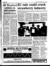 Enniscorthy Guardian Thursday 02 September 1993 Page 3