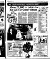 Enniscorthy Guardian Thursday 02 December 1993 Page 19