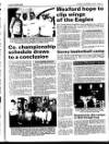 Enniscorthy Guardian Thursday 30 December 1993 Page 19