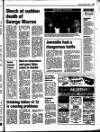 Enniscorthy Guardian Thursday 01 December 1994 Page 15