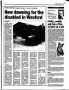 Enniscorthy Guardian Thursday 13 April 1995 Page 17