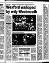 Enniscorthy Guardian Wednesday 24 May 1995 Page 61