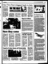 Enniscorthy Guardian Wednesday 31 May 1995 Page 67