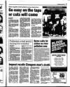 Enniscorthy Guardian Wednesday 05 July 1995 Page 19