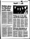 Enniscorthy Guardian Wednesday 05 July 1995 Page 27