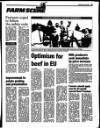 Enniscorthy Guardian Wednesday 19 July 1995 Page 25