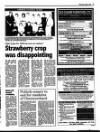 Enniscorthy Guardian Wednesday 02 August 1995 Page 3