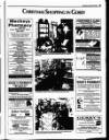 Enniscorthy Guardian Wednesday 20 December 1995 Page 29