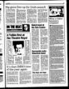 Enniscorthy Guardian Wednesday 24 January 1996 Page 63
