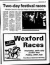 Enniscorthy Guardian Wednesday 24 July 1996 Page 17