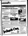 Enniscorthy Guardian Wednesday 16 October 1996 Page 33