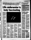 Enniscorthy Guardian Wednesday 08 January 1997 Page 49