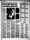 Enniscorthy Guardian Wednesday 15 January 1997 Page 75
