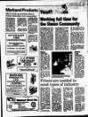 Enniscorthy Guardian Wednesday 12 February 1997 Page 15